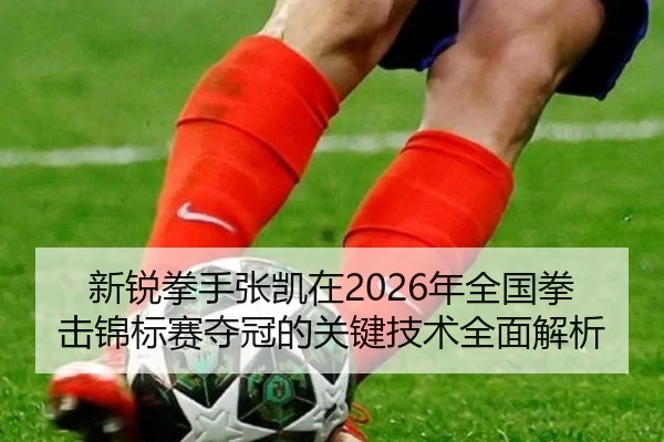 新锐拳手张凯在2026年全国拳击锦标赛夺冠的关键技术全面解析（LEJING）